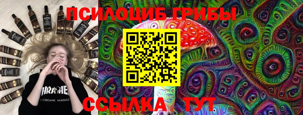 Шатура  Псилоцибиновые грибы Psilocybe  где купить   Вход с VPN 